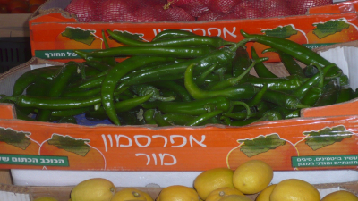 قريبًا.. خضار وفواكه مستوطنات الاحتلال ستُباع في الإمارات