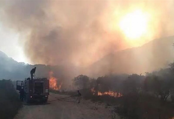 الحركة البيئية: التحقيق بحرائق بسري بدأ ولن نقبل بلفلفة القضية