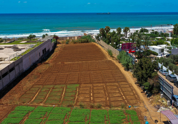 تصوير ميلاد لمع