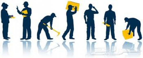 عمال بلدية الميناء يعتصمون في باحة القصر البلدي غدا مطالبين بصرف رواتبهم وباقي المستحقات