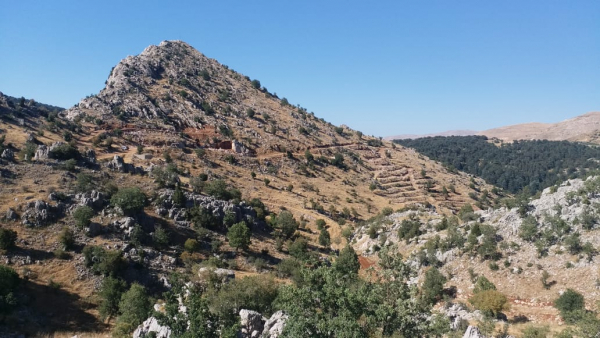 اللجنة البيئية في تنورين: لتطبيق قوانين منع التعرض للمواقع الطبيعية التراثية