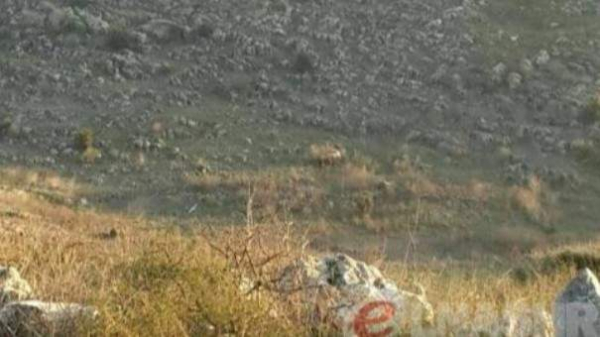 دبابتان إسرائيليتان خرقتا السياج التقني في كروم الشراقي